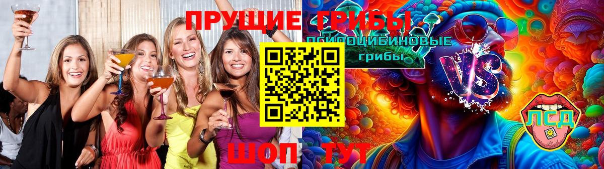 Псилоцибиновые грибы мухоморы  Вход с VPN  Азнакаево  Псилоцибиновые грибы прущие грибы 